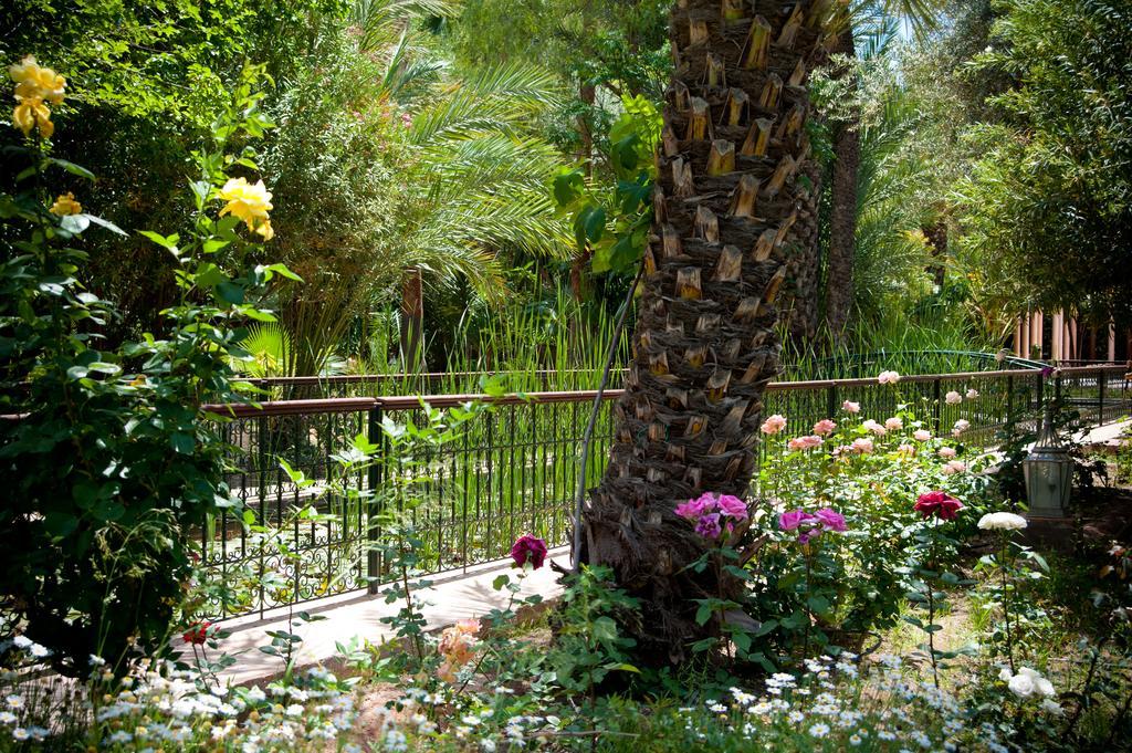 Dar Ayniwen Garden Hotel & Bird Zoo Marakeş Dış mekan fotoğraf